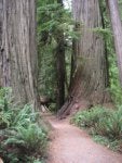IMG_0187 [320x200].JPG